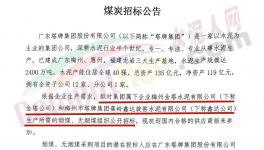 塔牌集團煤炭采購通知！