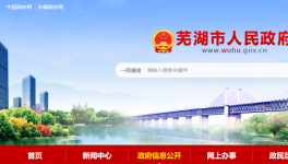 蕪湖海螺5.3MW光伏發電項目成功獲批！