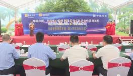 ?總投資額4775萬元！華潤水泥光伏項目開工?！