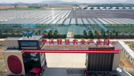 巧用水泥余熱，工業轉型反哺農業！