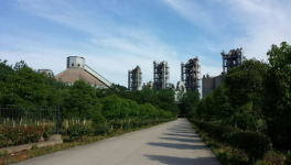 海螺全球最大水泥生產線來了！