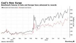 瘋了！這種原料價格破紀錄！水泥廠“哭了”！