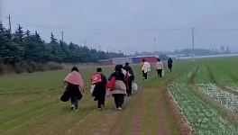 反撲！多省工地停工！水泥廠停發！商混站“告急”！