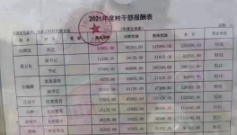 工資曝光！村長“秒殺”水泥廠高管！