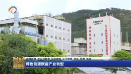 海螺水泥兩家工廠同一天都上電視啦！